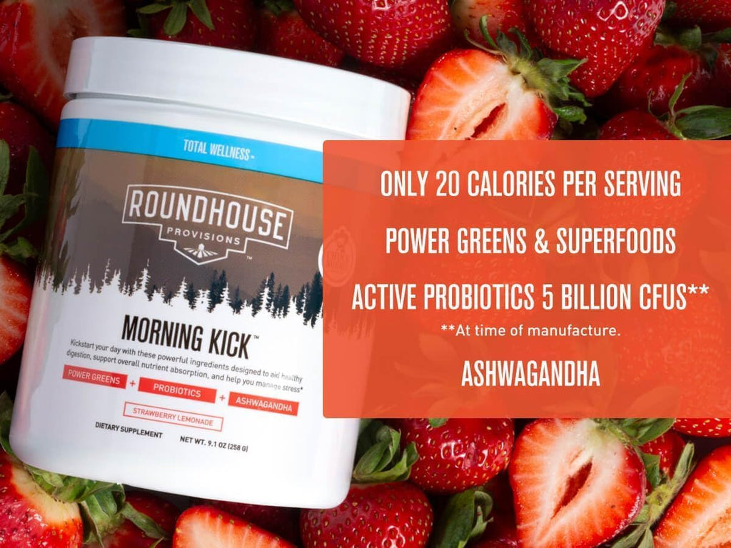 Roundhouse Morning Kick